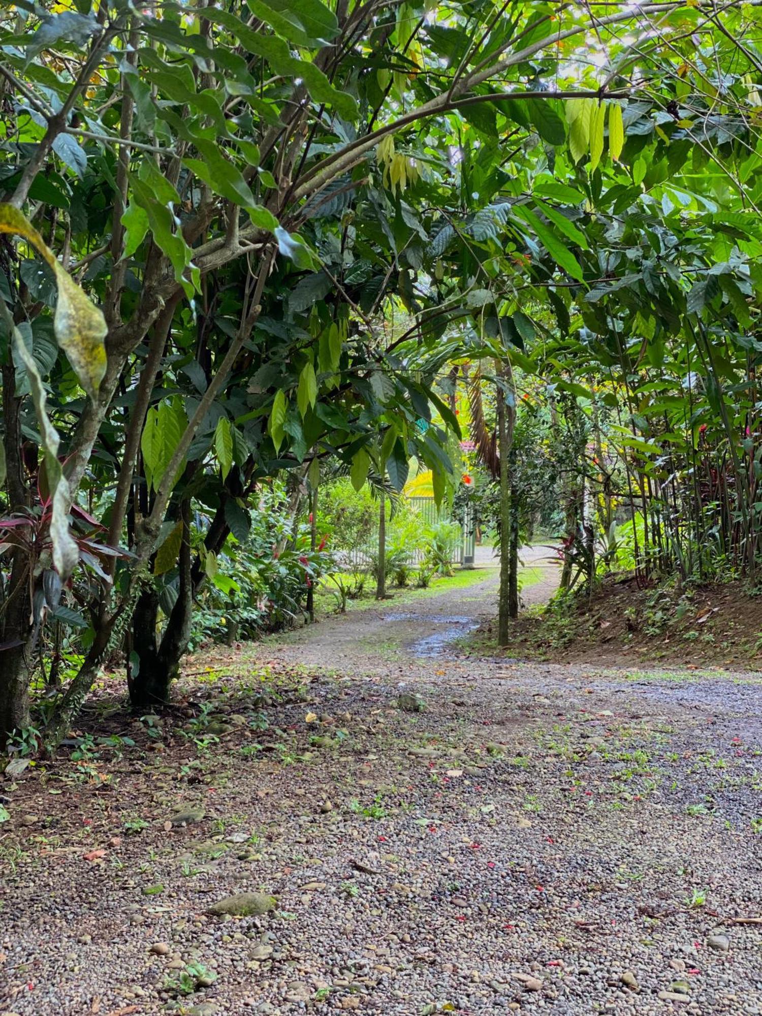 Campo Verde House, La Fortuna De San Carlos Екстериор снимка